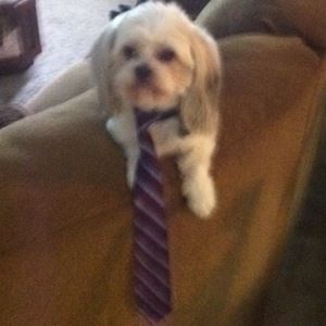 Meet your Posher, Sami